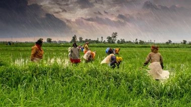 Bihar Farmer ID Registration: How To Apply as Agri Stack Deadline Ends Today