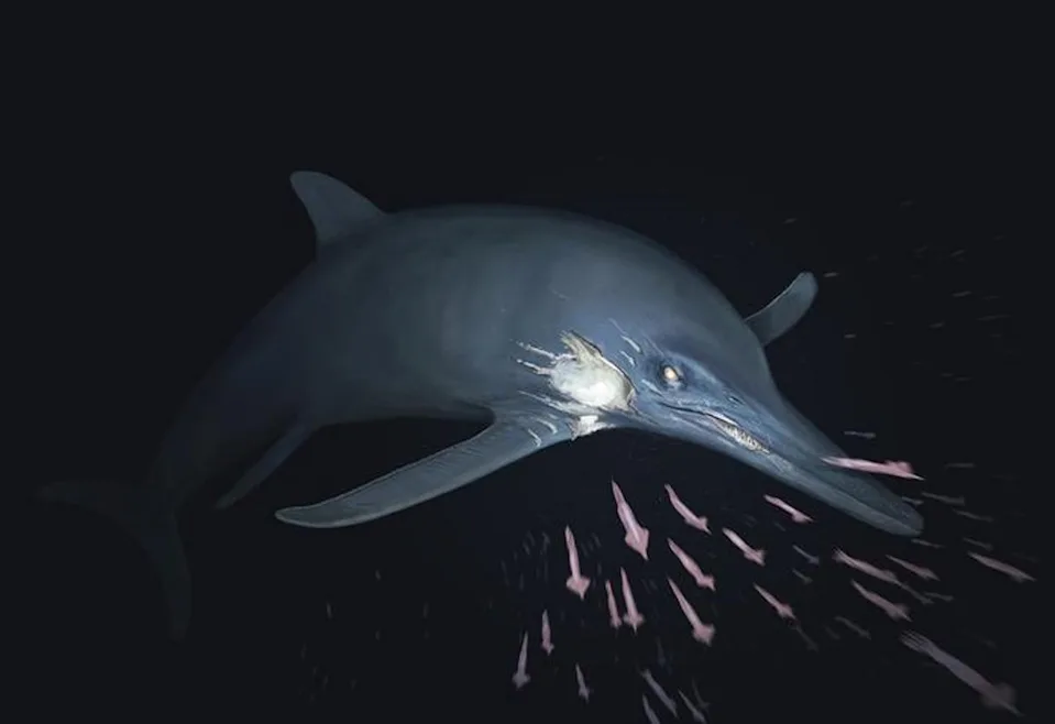 Fossil Discovery: 180-Million-Year-Old Dolphin-Like Sea Monster Lived On Despite Injuries