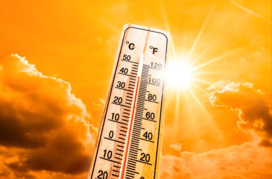 Delhi Heatwave Alert: IMD Issues Orange Warning as Temperatures Soar
