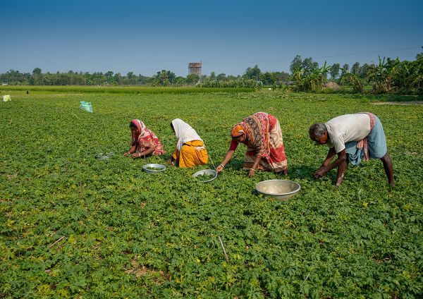 Why Natural Resources Are the Frontline of Climate and Income Security